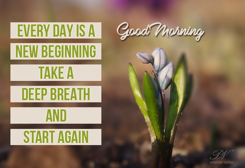 Good Morning - Everyday is a new beginning - Premium Wishes