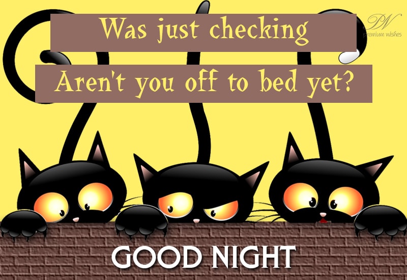 Aren't you off to bed yet? Good Night Premium Wishes