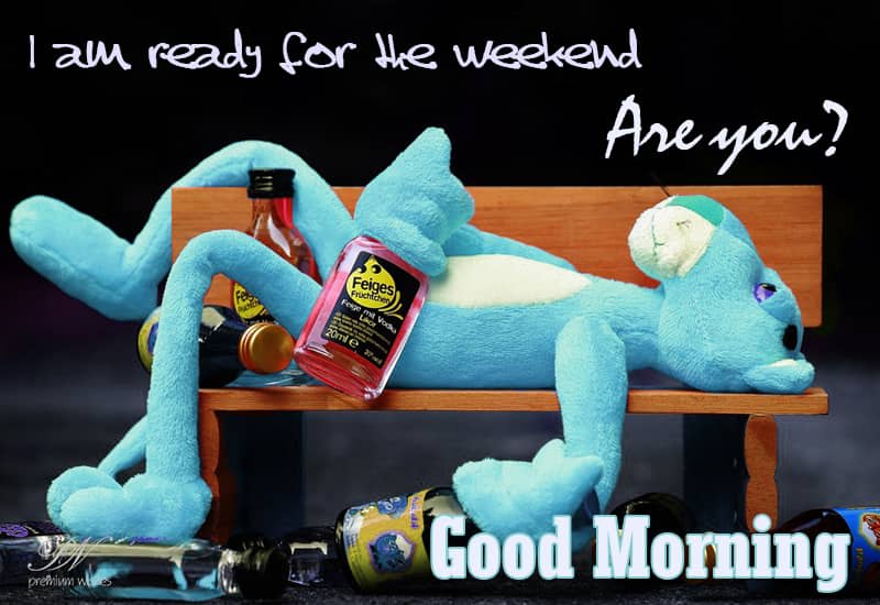 Good Morning - Are you ready for the weekend - Premium Wishes