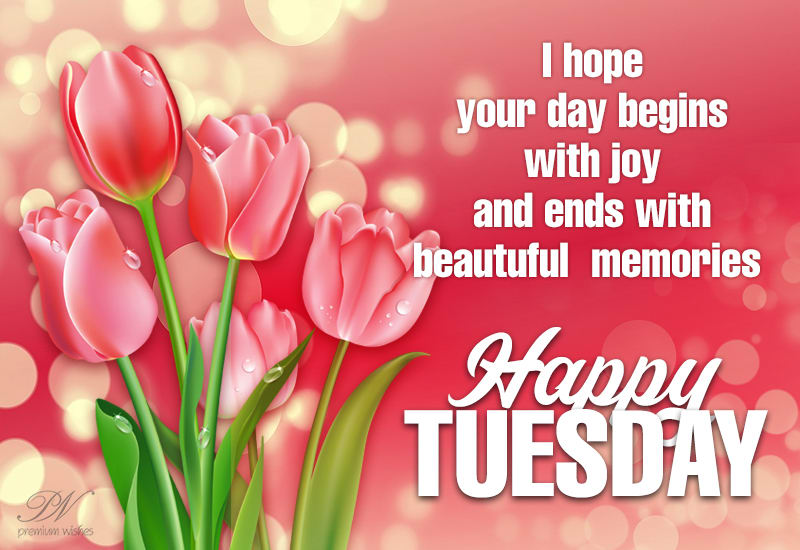 Happy Tuesday - I hope your day begins with joy and ends with beautiful ...
