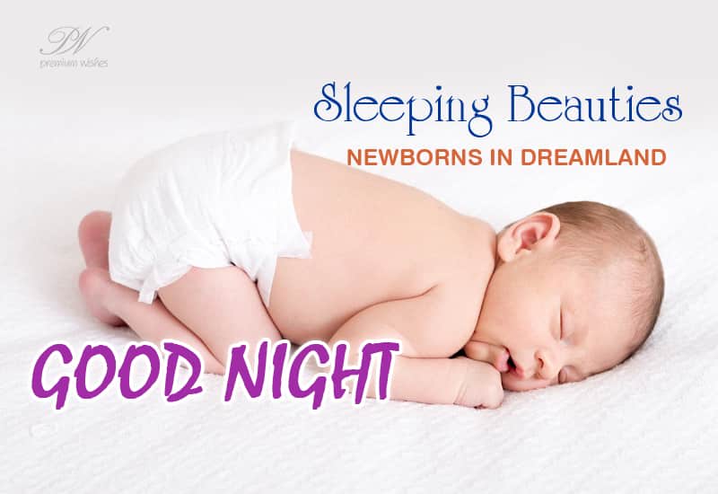 Sleeping Beauties Good Night Premium Wishes