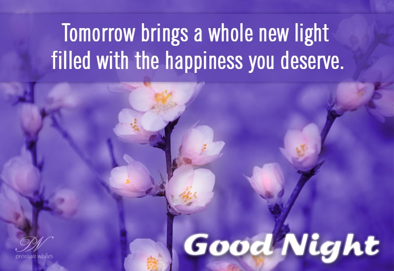 Good Night - Tomorrow brings the happiness you deserve - Premium Wishes