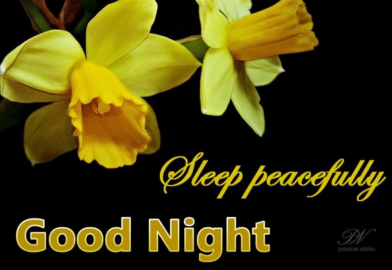 Good Night - Sleep Peacefully - Premium Wishes