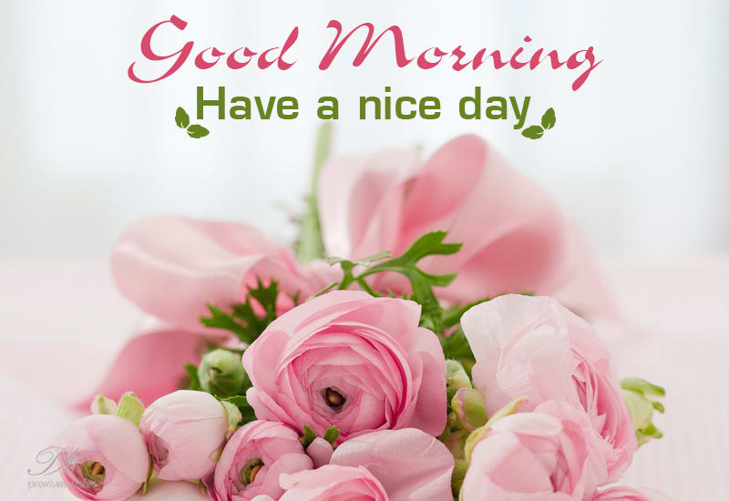 Good Morning - Have A Great Day Ahead - Premium Wishes