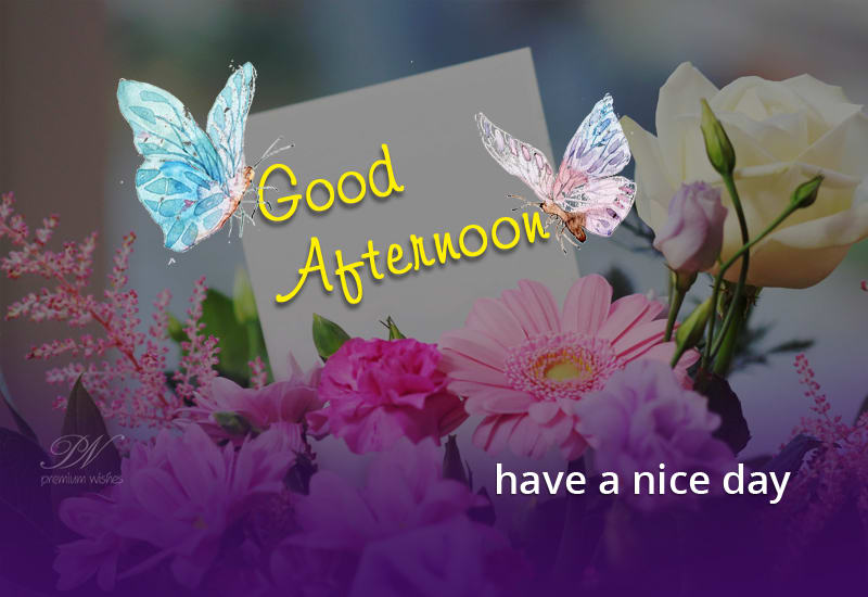 Good Afternoon and have a nice day ahead - Premium Wishes