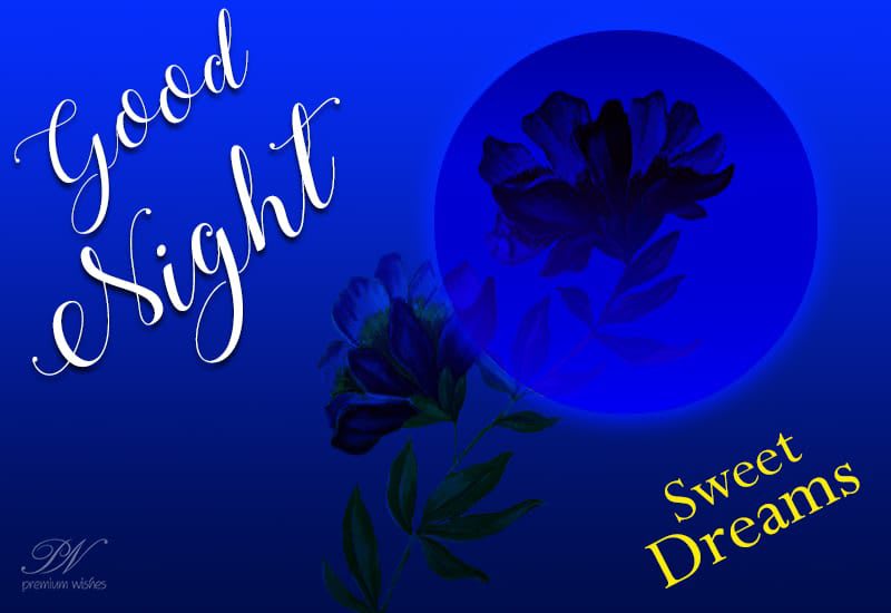 Good Night Sweet Dreams Sleep Well Premium Wishes