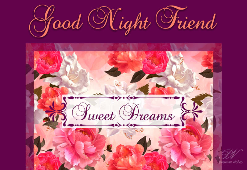 Good Night Friend - Sweet Dream - Premium Wishes