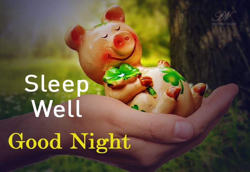 Sleep Well Good Night Friends and Loved Ones Premium Wishes