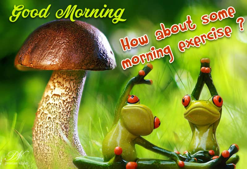 Good Morning How about some exercise Premium Wishes
