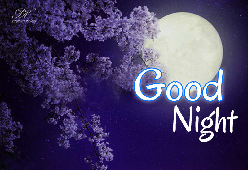 Good Night Dear Friends - Premium Wishes