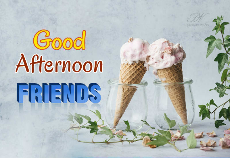 Good Afternoon - Cool It - Premium Wishes