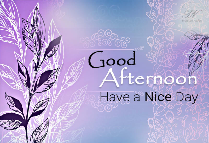 Have a nice and wonderful afternoon - Premium Wishes