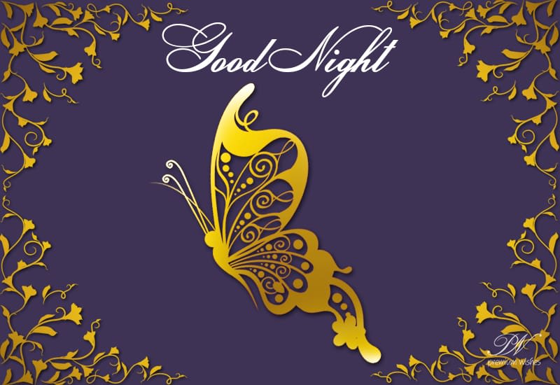 Good Night Butterfly Premium Wishes