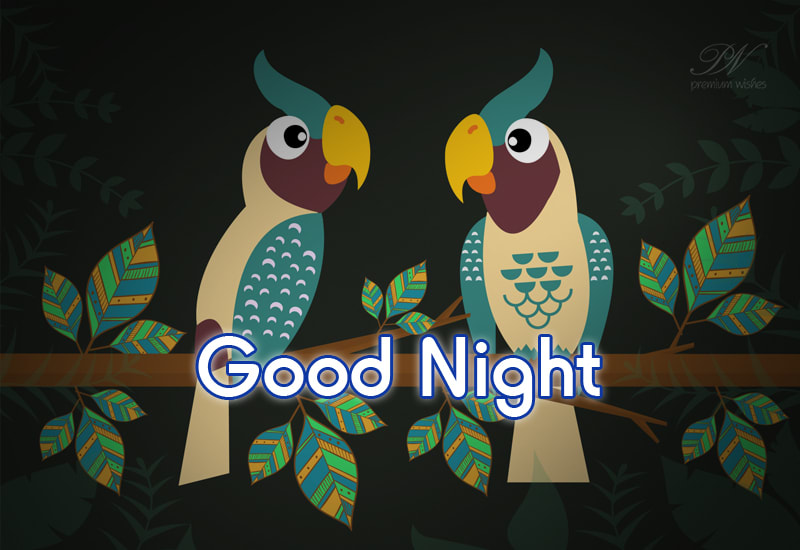 Good Night - Sleep well - Premium Wishes