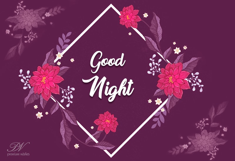 Good Night Rest and Dream Premium Wishes