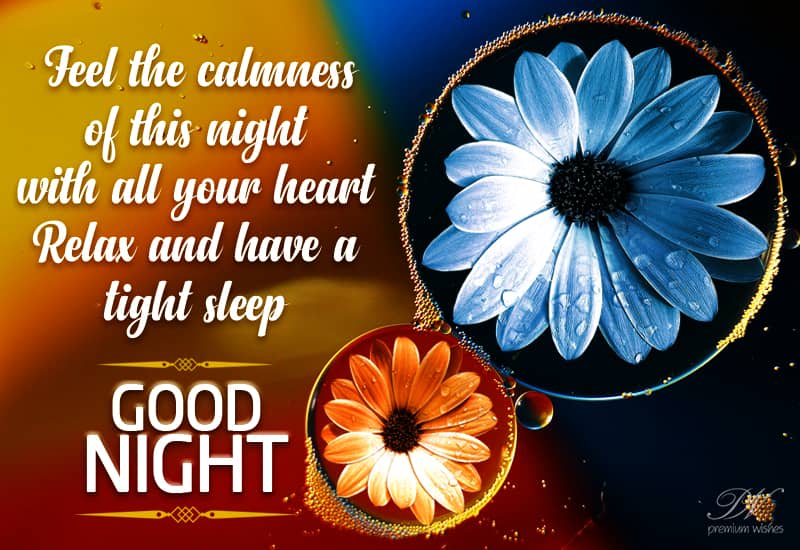Good Night Relax and have a tight sleep Premium Wishes