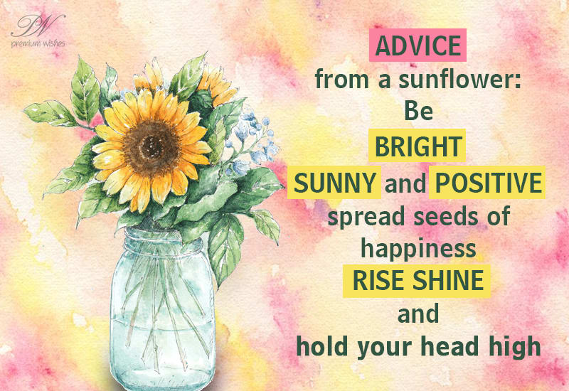 Good Morning Be Bright Sunny And Positive Premium Wishes good-morning-be-bright-sunny-and-positive-premium-wishes