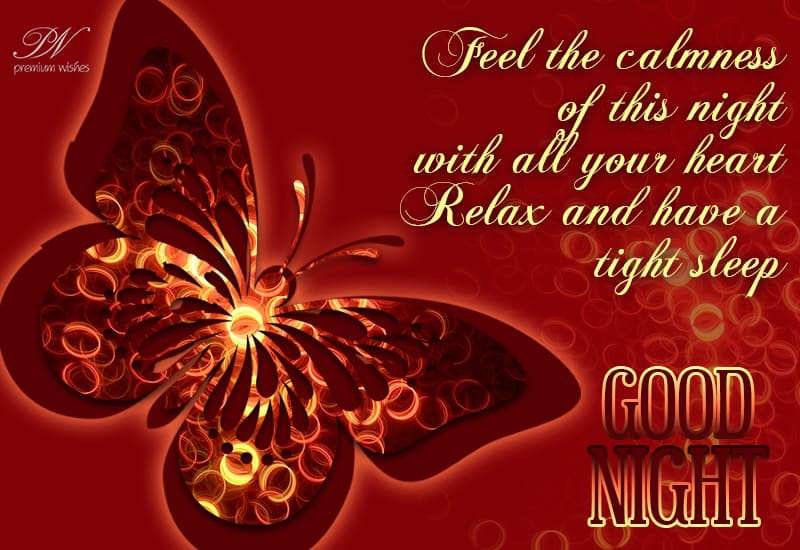Good Night Relax and have a tight sleep Premium Wishes