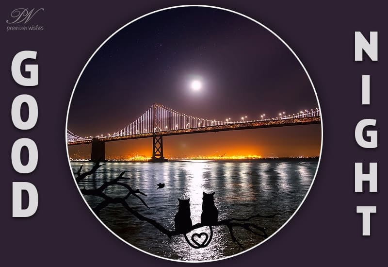 Good Night Enjoy the night! Premium Wishes