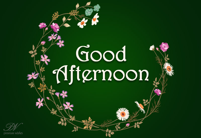Friends say good afternoon with flowers - Premium Wishes