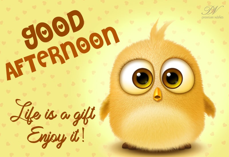 Good Afternoon Life Is A Gift Enjoy It Premium Wishes good-afternoon-life-is-a-gift-enjoy-it-premium-wishes