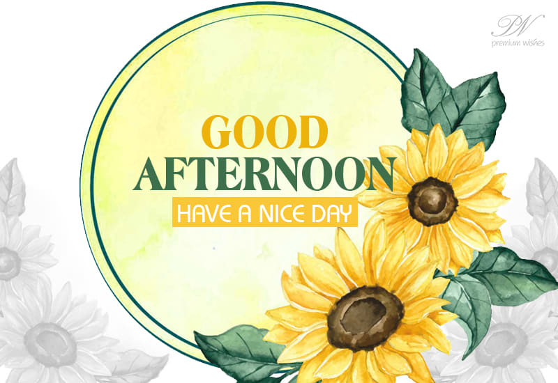 Good Afternoon Have A Nice Day Ahead Friends Be In Love With Nature Premium Wishes Good Afternoon Have A Nice Day Ahead Friends Be In Love With Nature Premium Wishes