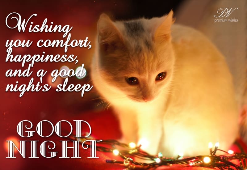 Wishing You A Good Night Wishing You Comfort, Happiness And A Good Night Sleep - Premium Wishes