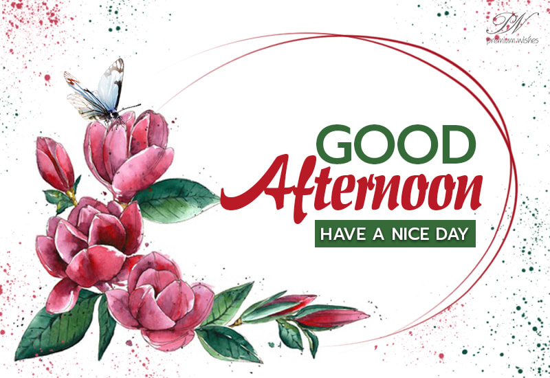 Good Afternoon Have A Nice Day Friends Enjoy Premium Wishes Good Afternoon Have A Nice Day Friends Enjoy Premium Wishes