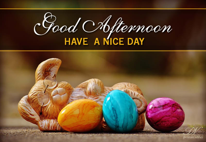 Wishing You Good Afternoon Have A Nice Day Friends Premium Wishes Wishing You Good Afternoon Have A Nice Day Friends Premium Wishes