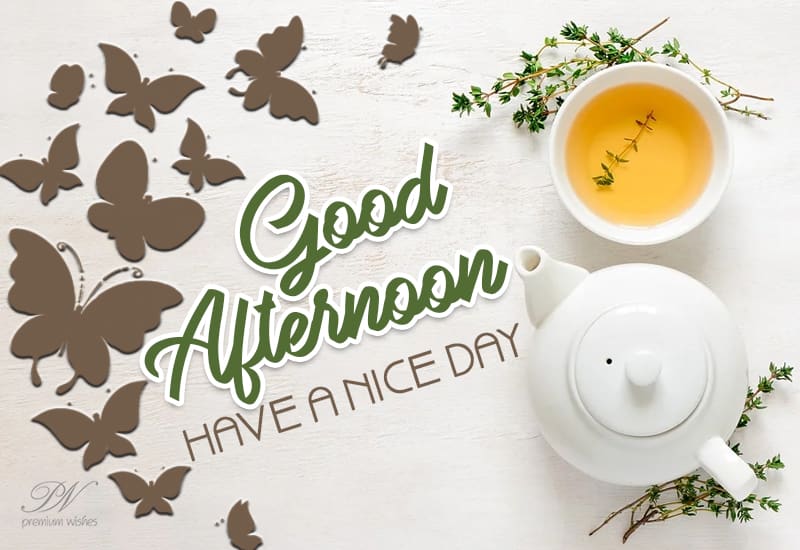 Friends Good Afternoon Have A Nice Day Ahead And Stay Safe Premium Wishes Friends Good Afternoon Have A Nice Day Ahead And Stay Safe Premium Wishes