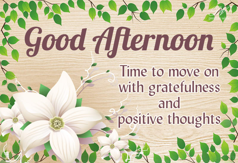 Good Afternoon - Time to move on with gratefulness and positive ...