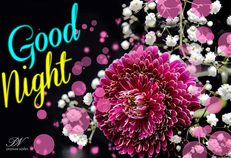 Good Night Flowers - Wishing you a lovely and peaceful time ahead ...