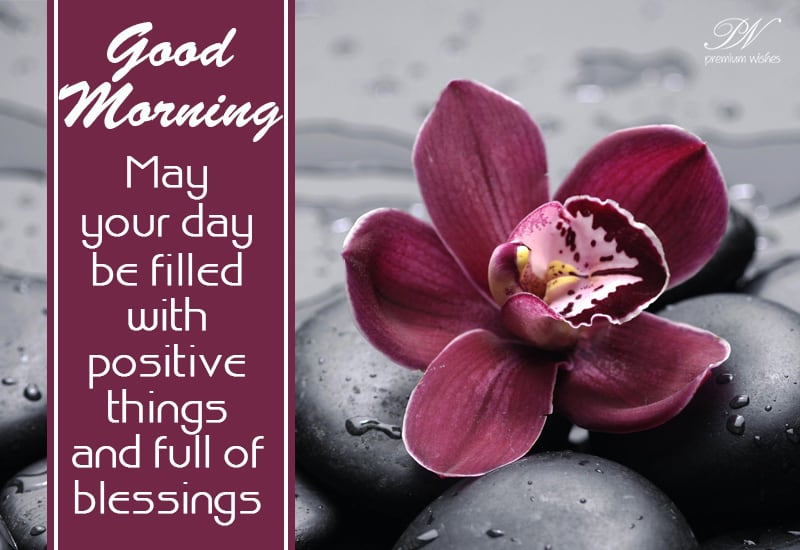 May Your Day Be Filled With Positive Things And Full Of Blessings Good Morning Premium Wishes