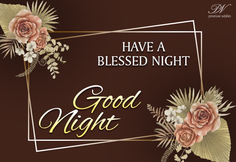 Have a blessed and good night - Premium Wishes