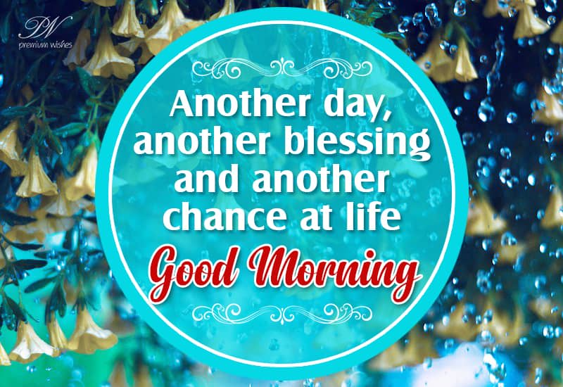 Another Day Another Blessing Another Day Another Blessing And Another Chance At Life - Good Morning -  Premium Wishes
