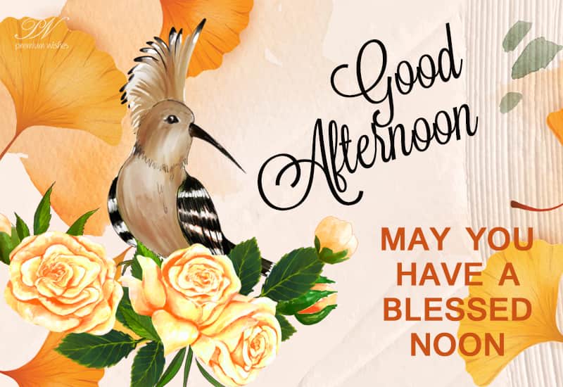 Have a blessed and happy afternoon Premium Wishes