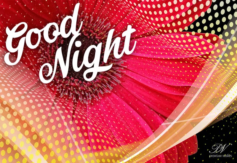 Good night Sending some flowers your way to lift your mood Premium