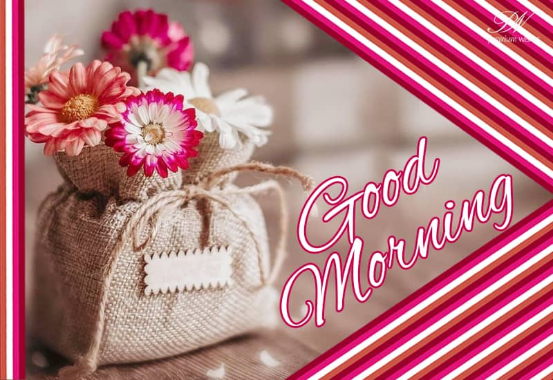Good Morning - Lift your mood and enjoy the day - Premium Wishes