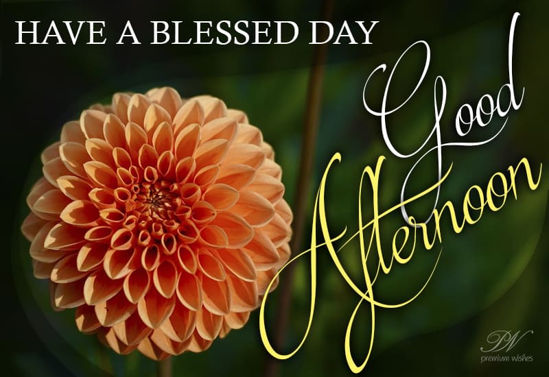 Have A Blessed Noon And A Brilliant Day Ahead Good Afternoon Premium Wishes
