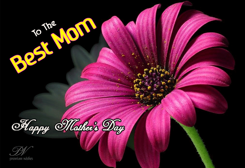 For the best mom in the world Happy Mothers Day Premium Wishes