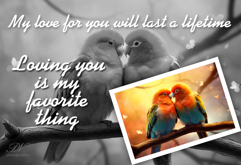 My love for you will last a lifetime Premium Wishes