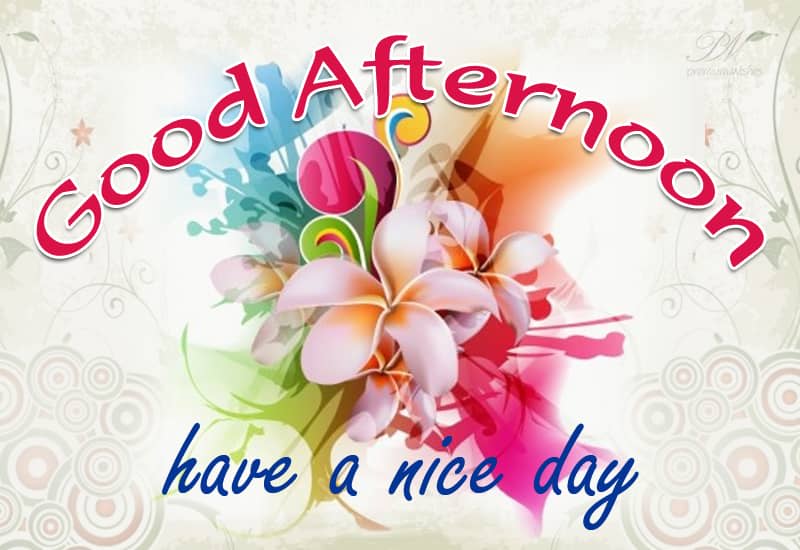 Have A Nice Afternoon Friends Gear Up Premium Wishes Have A Nice Afternoon Friends Gear Up Premium Wishes
