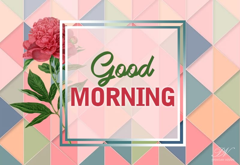 Good Morning - May you have a blessed day - Premium Wishes