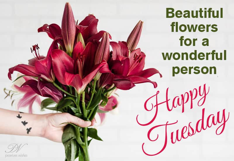 Beautiful Happy Tuesday Images Happy Tuesday - Beautiful Flowers For You - Premium Wishes