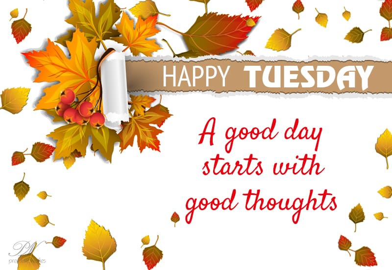 Happy Tuesday - Start The Day With Good Thoughts - Premium Wishes