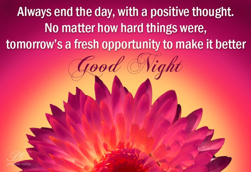 Positive Note Of The Day Good Night - End The Day On A Positive Note - Premium Wishes