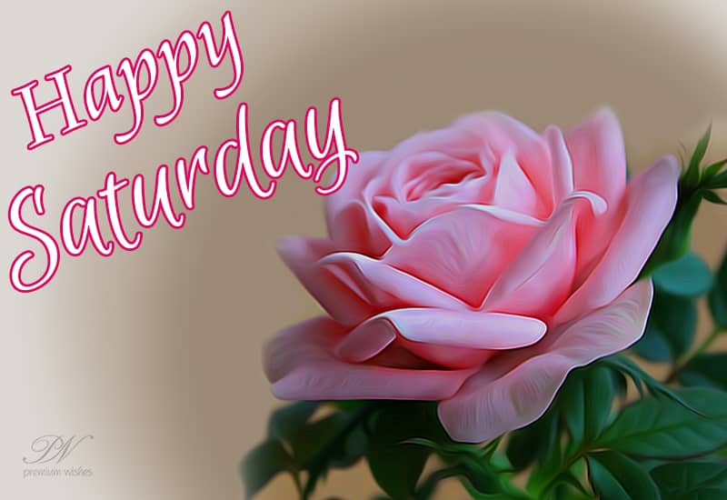 Happy Saturday Friends - Share the rose to start your valentine week ...