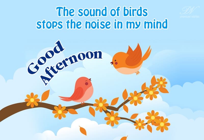 Good Night Relish It Premium Wishes