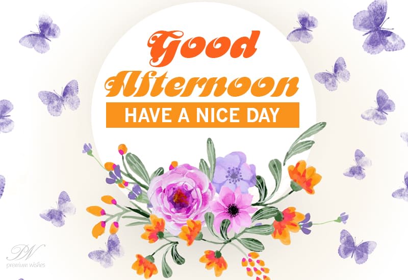 Have A Nice Day Good Afternoon Premium Wishes Have A Nice Day Good Afternoon Premium Wishes