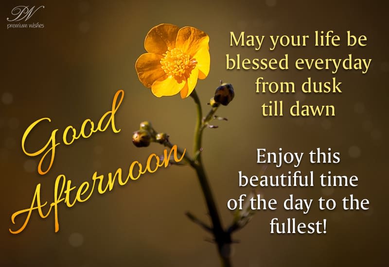 Good Afternoon Have A Blessed Day Good Afternoon - May Your Life Be Blessed Everyday From Dusk Till Dawn -  Premium Wishes
